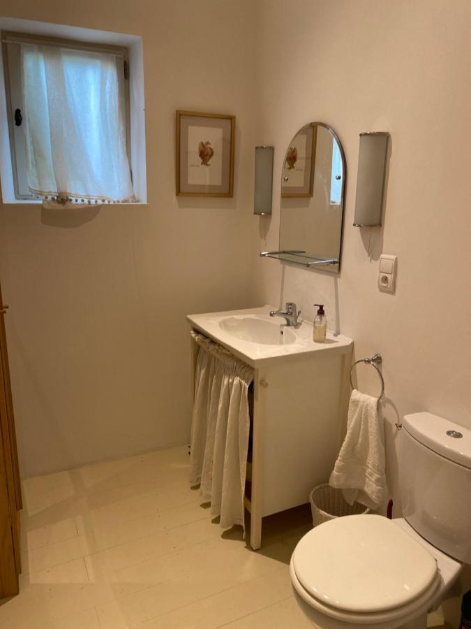 3 Rue Du Moulin Villa Camon  Exteriör bild